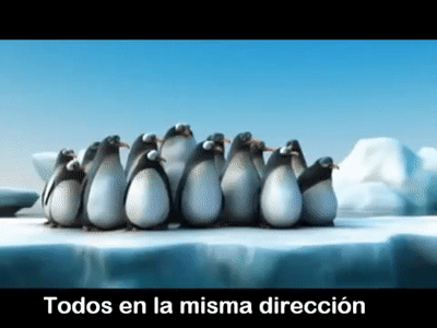 R.S PROYECTOS CICLO IV